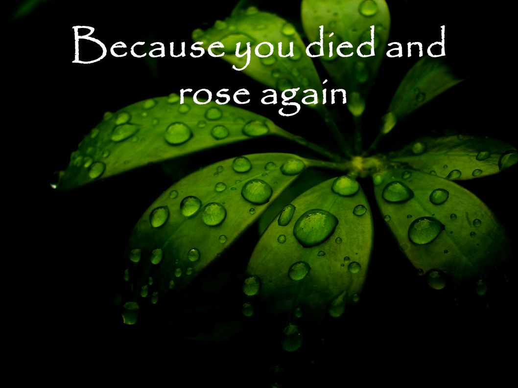Because you died and rose again