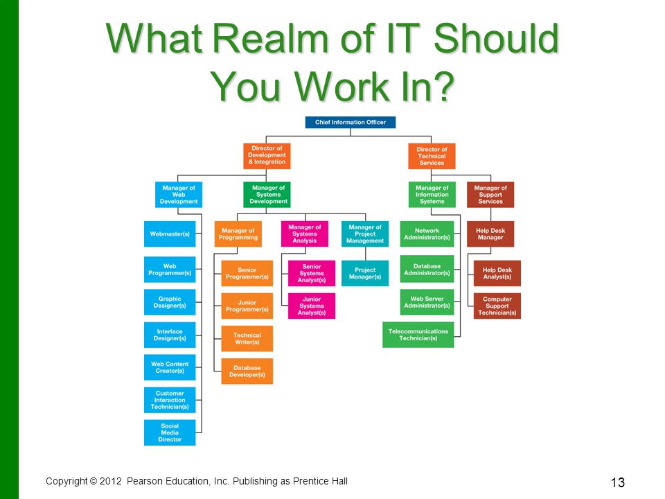 What Realm of IT Should You Work In. Copyright © 2012 Pearson Education, Inc.