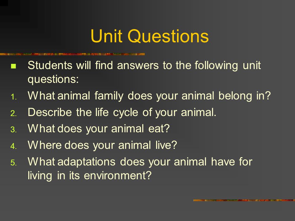 Essential Questions Students will examine the essential question: How does the environment affect animals