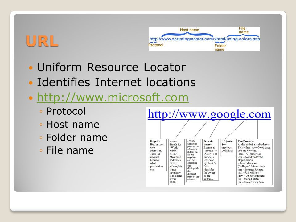 URL Uniform Resource Locator Identifies Internet locations   ◦Protocol ◦Host name ◦Folder name ◦File name