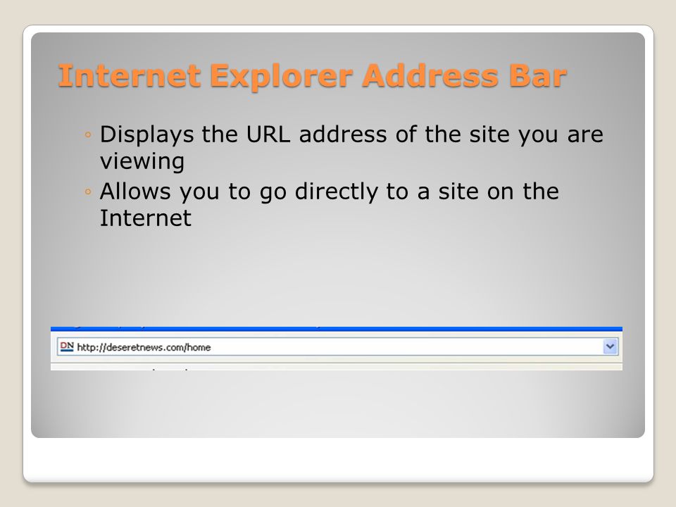Internet Explorer Address Bar ◦Displays the URL address of the site you are viewing ◦Allows you to go directly to a site on the Internet
