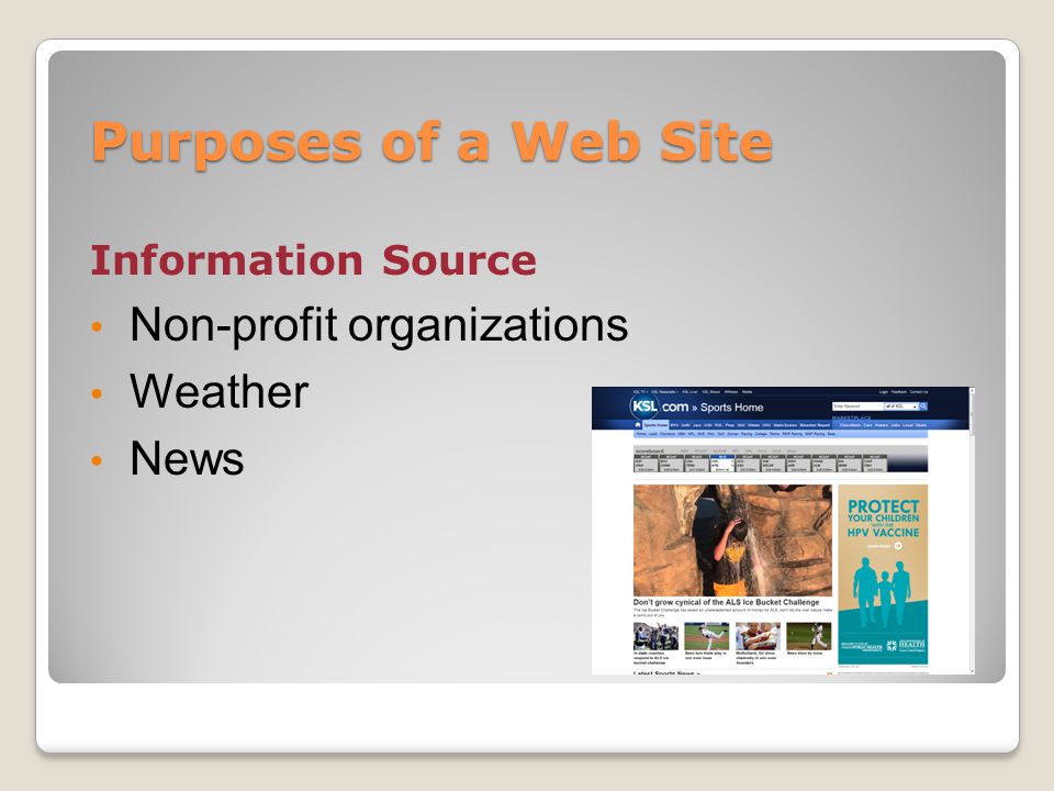 Purposes of a Web Site Information Source Non-profit organizations Weather News