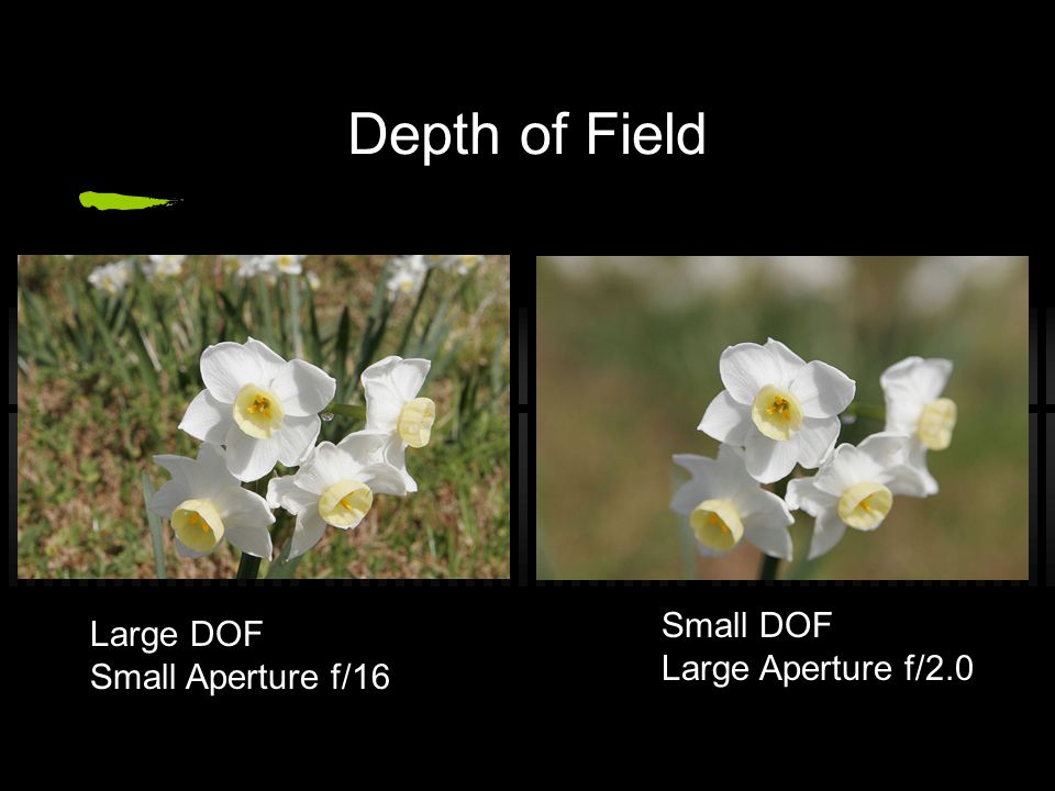 Depth of Field Large DOF Small Aperture f/16 Small DOF Large Aperture f/2.0