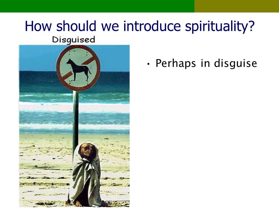 How should we introduce spirituality Perhaps in disguise