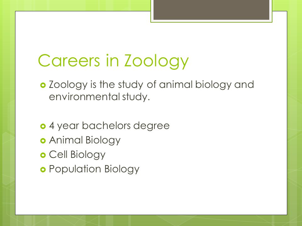welcome to zoology what is zoology zoo animals ology zoology degree