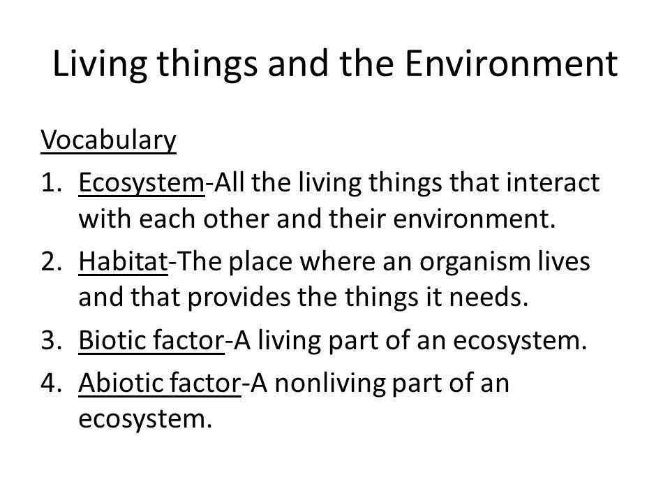 Living things and the Environment Vocabulary 1.Ecosystem-All the living things that interact with each other and their environment.