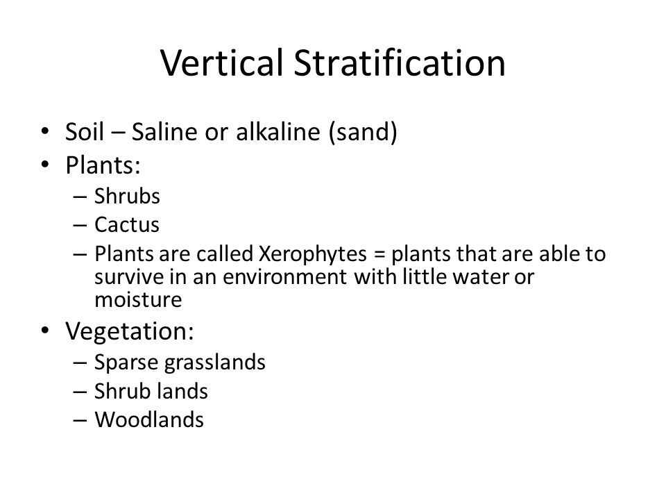 Vertical Stratification Soil – Saline or alkaline (sand) Plants: – Shrubs – Cactus – Plants are called Xerophytes = plants that are able to survive in an environment with little water or moisture Vegetation: – Sparse grasslands – Shrub lands – Woodlands