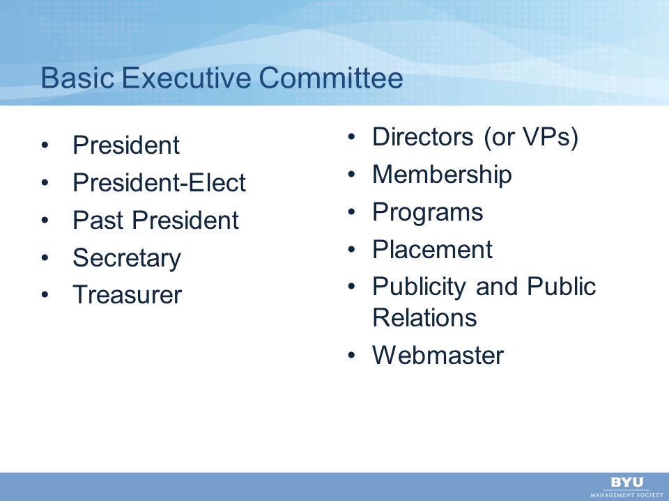Basic Executive Committee President President-Elect Past President Secretary Treasurer Directors (or VPs) Membership Programs Placement Publicity and Public Relations Webmaster