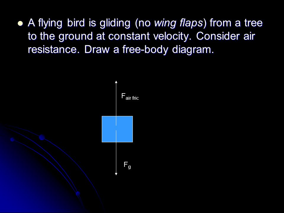 A flying bird is gliding (no wing flaps) from a tree to the ground at constant velocity.
