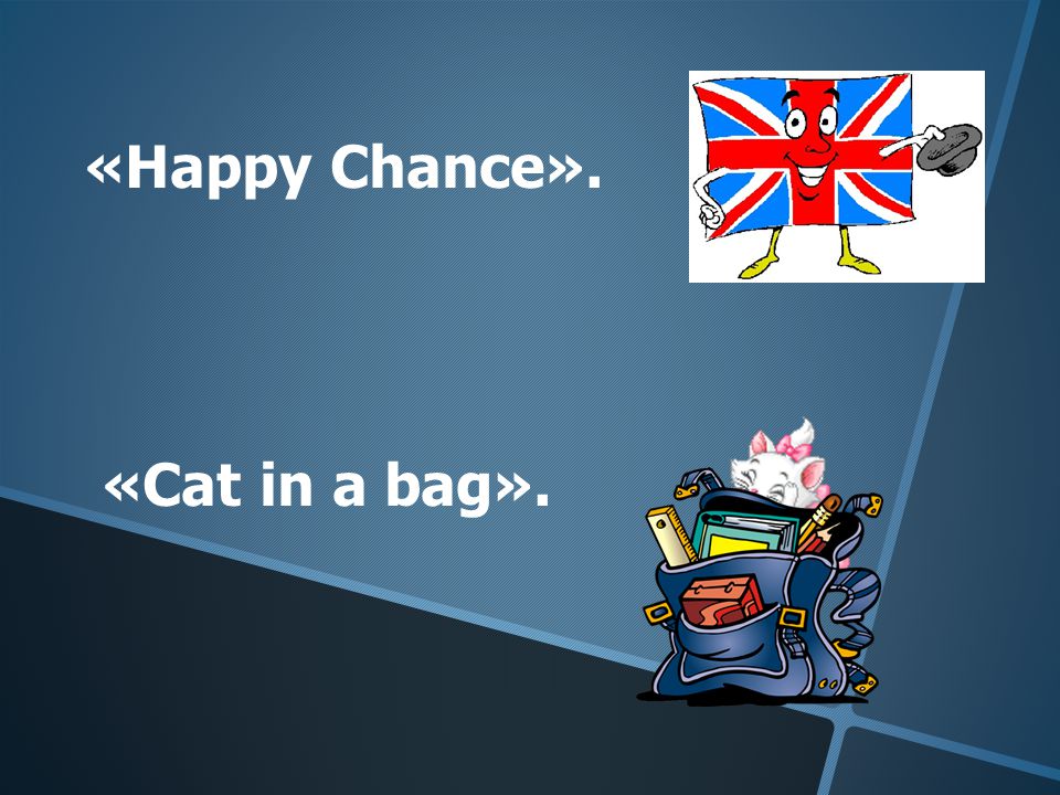 «Happy Chance». «Cat in a bag».