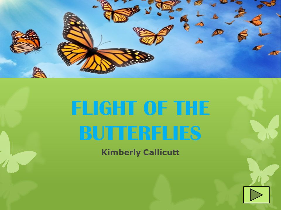 FLIGHT OF THE BUTTERFLIES Kimberly Callicutt