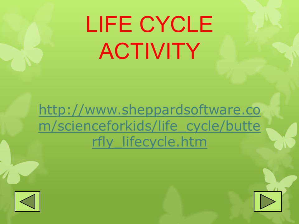 LIFE CYCLE ACTIVITY   m/scienceforkids/life_cycle/butte rfly_lifecycle.htm