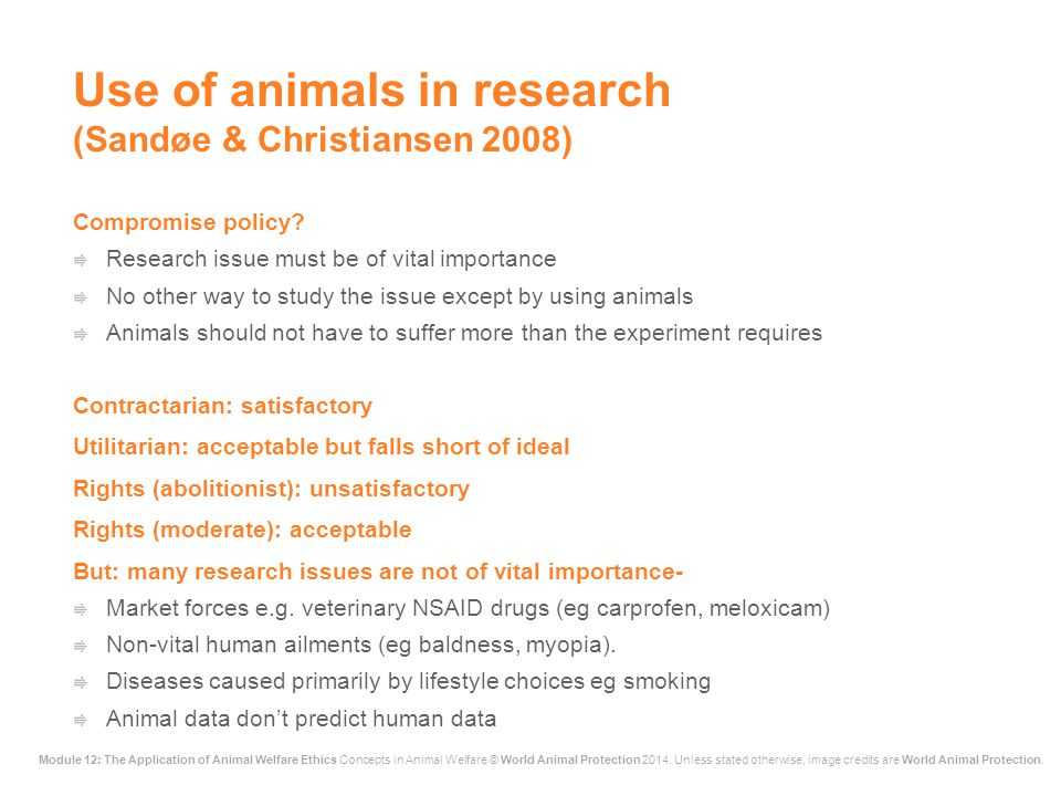 the essay powerpoint pollution