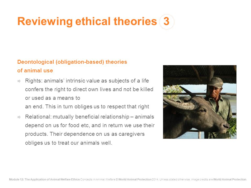 The Application of Animal Welfare Ethics This lecture was first developed  for World Animal Protection by Dr David Main (University of Bristol) in ppt  download