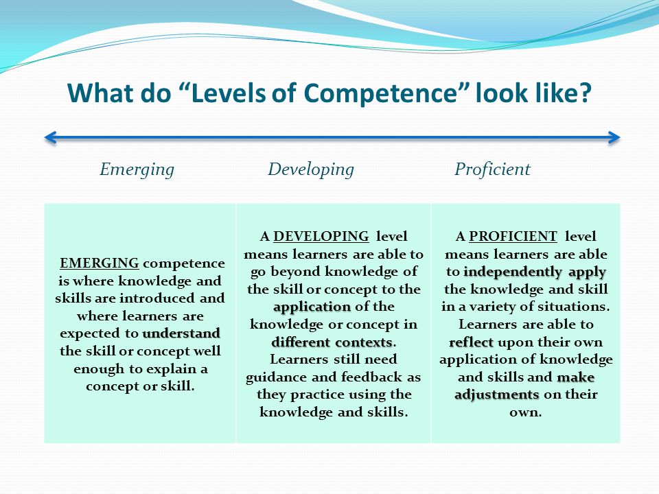 What do Levels of Competence look like.