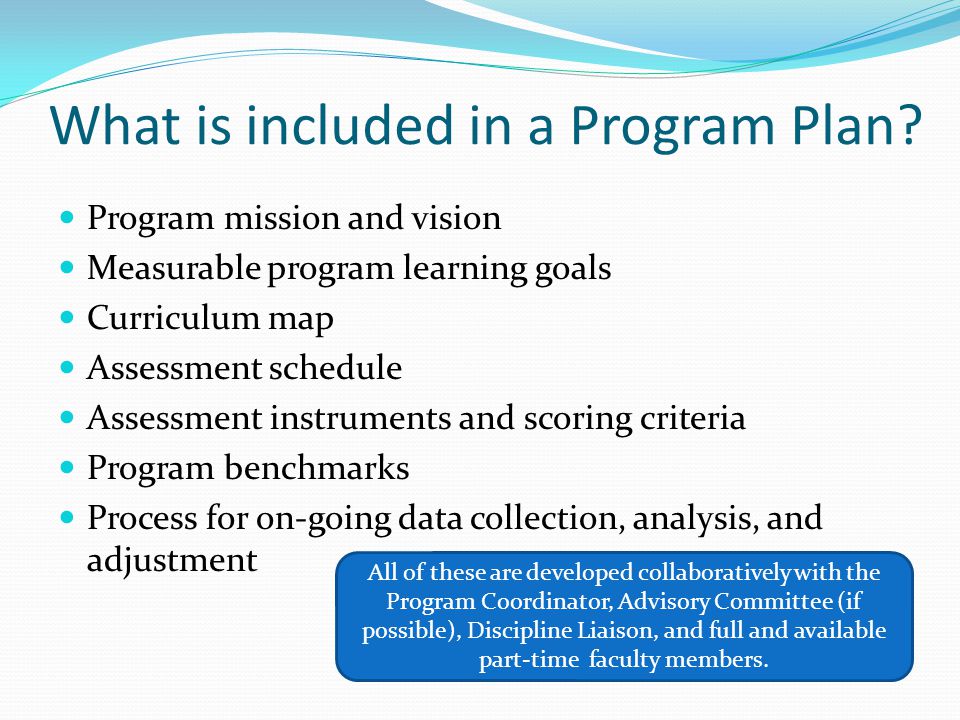 What is included in a Program Plan.