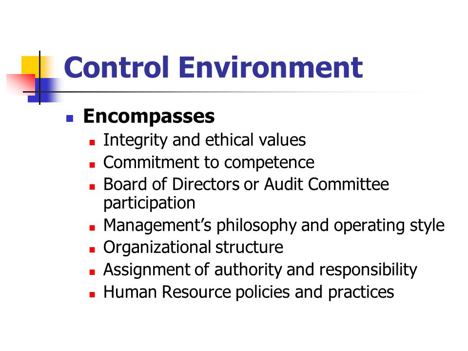 Control Environment Encompasses Integrity and ethical values Commitment to competence Board of Directors or Audit Committee participation Management’s philosophy and operating style Organizational structure Assignment of authority and responsibility Human Resource policies and practices