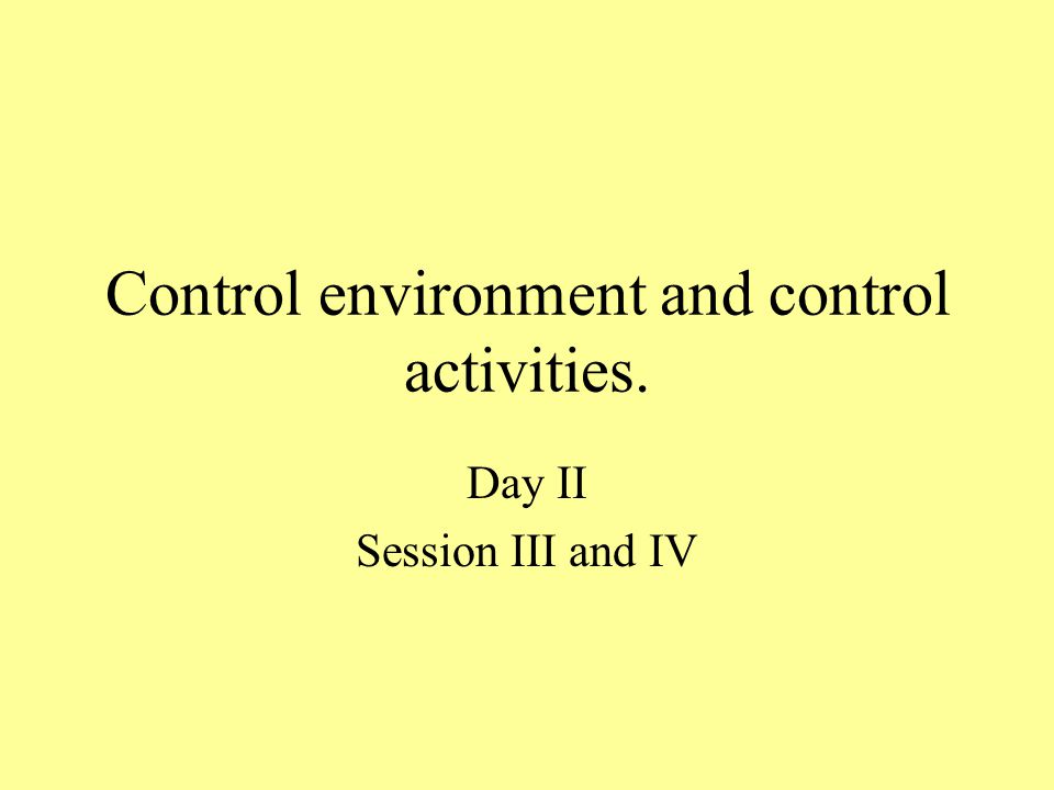 Control environment and control activities. Day II Session III and IV