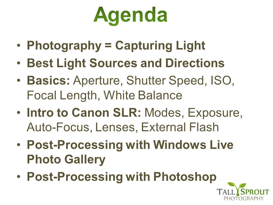Photography = Capturing Light Best Light Sources and Directions Basics: Aperture, Shutter Speed, ISO, Focal Length, White Balance Intro to Canon SLR: Modes, Exposure, Auto-Focus, Lenses, External Flash Post-Processing with Windows Live Photo Gallery Post-Processing with Photoshop