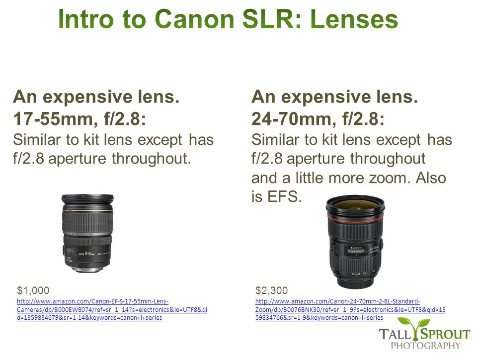 $1,000   Cameras/dp/B000EW8074/ref=sr_1_14 s=electronics&ie=UTF8&qi d= &sr=1-14&keywords=canon+l+series An expensive lens.