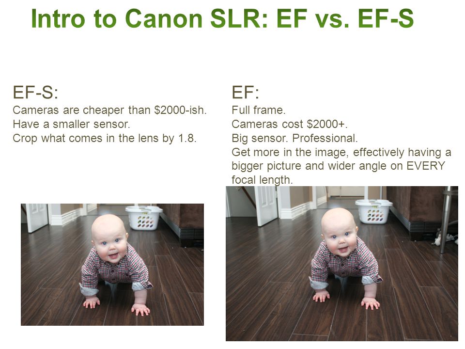 EF-S: Cameras are cheaper than $2000-ish. Have a smaller sensor.