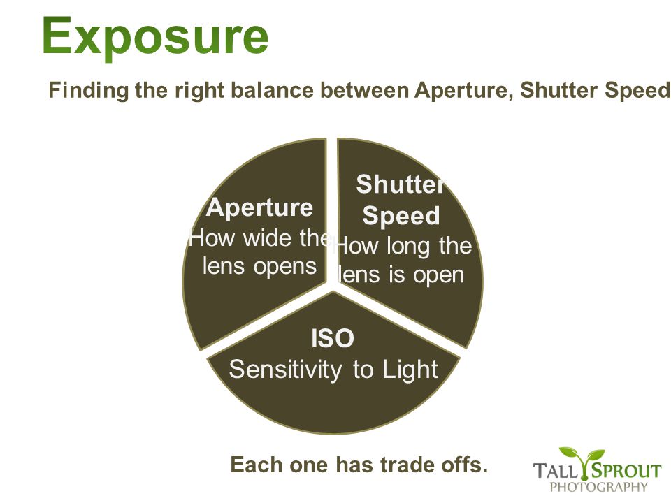 Finding the right balance between Aperture, Shutter Speed, and ISO… Each one has trade offs.