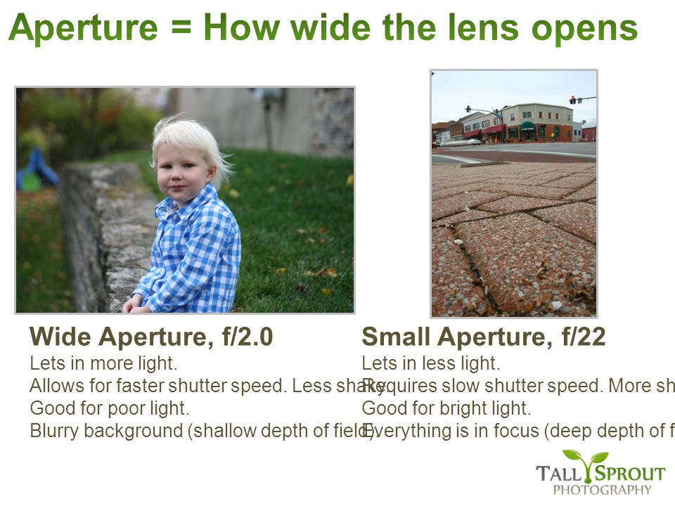 Wide Aperture, f/2.0 Lets in more light. Allows for faster shutter speed.