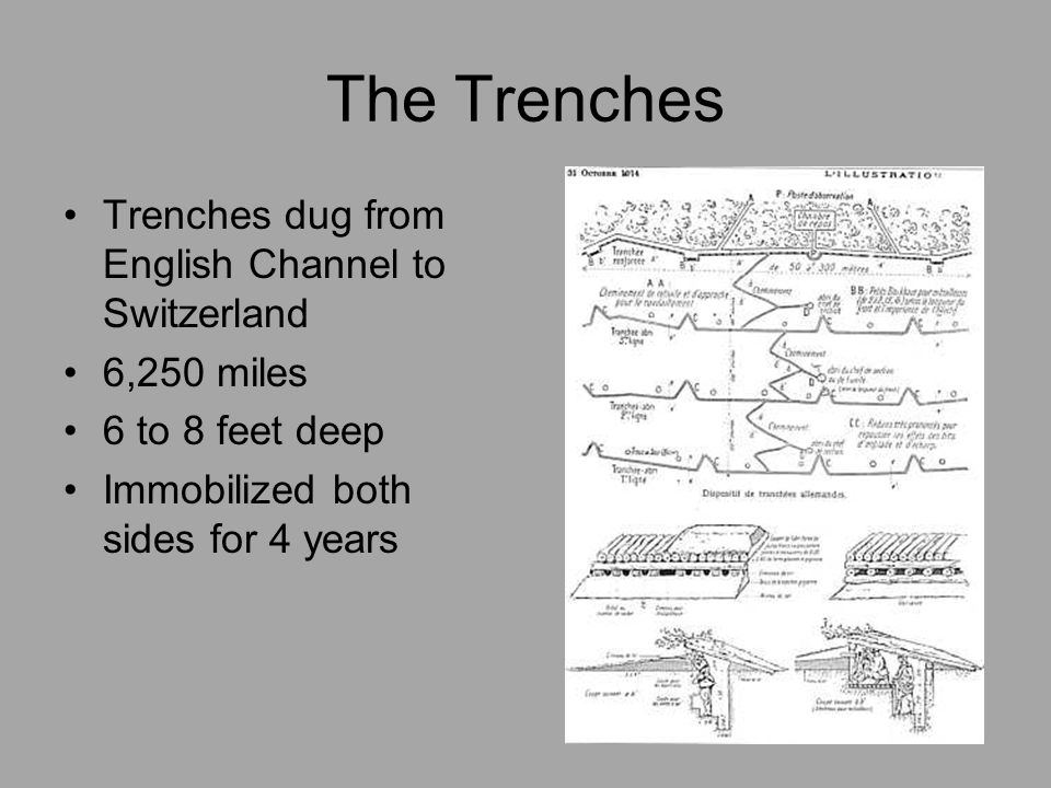 The Trenches Trenches dug from English Channel to Switzerland 6,250 miles 6 to 8 feet deep Immobilized both sides for 4 years