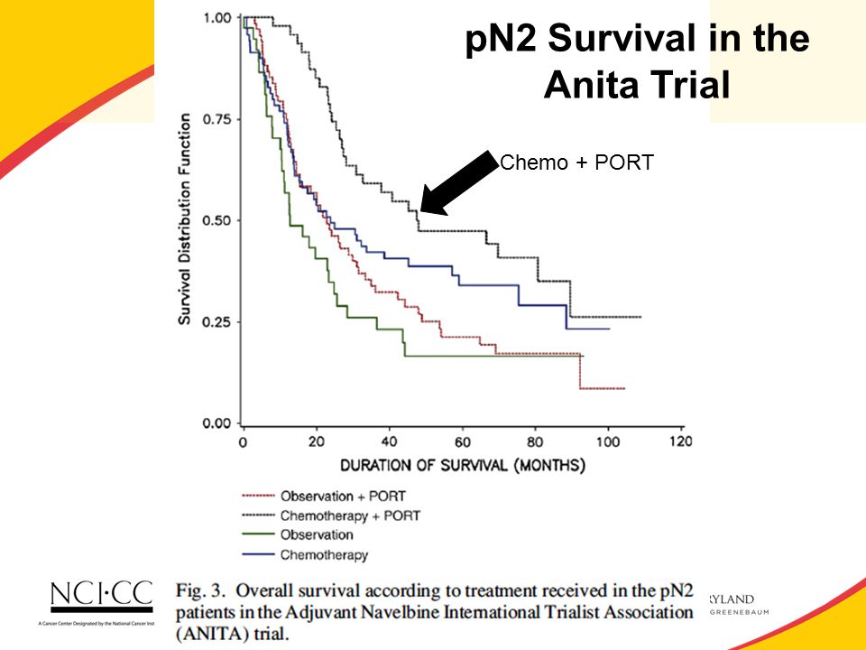 pN2 Survival in the Anita Trial Chemo + PORT