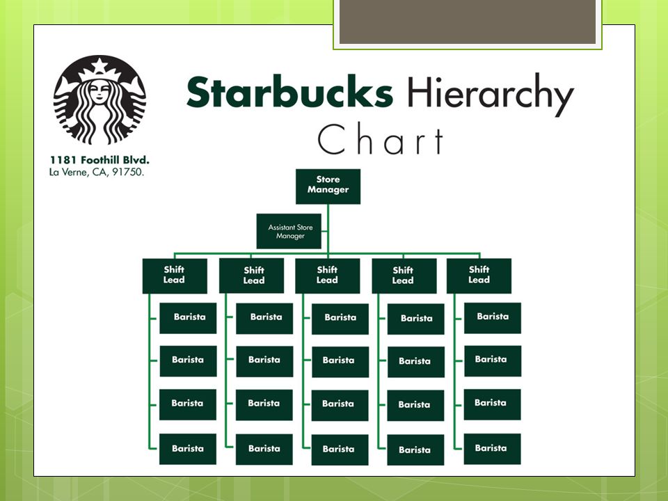 Starbucks Org Chart