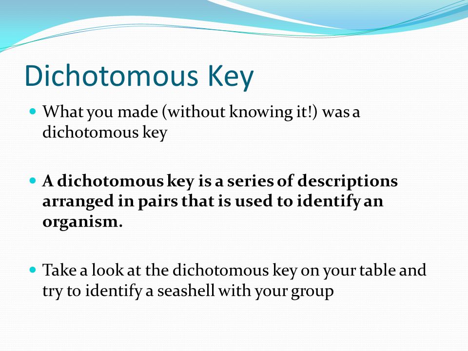 Dichotomous Key What you made (without knowing it!) was a dichotomous key A dichotomous key is a series of descriptions arranged in pairs that is used to identify an organism.