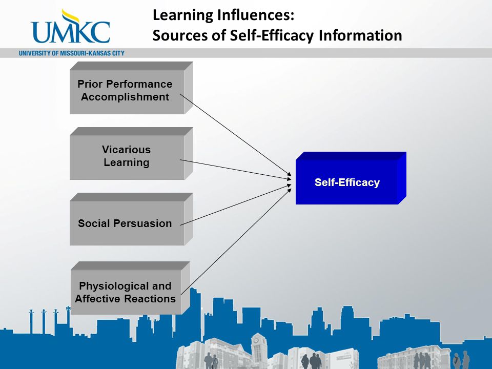 Prior Performance Accomplishment Vicarious Learning Social Persuasion Physiological and Affective Reactions Self-Efficacy Learning Influences: Sources of Self-Efficacy Information
