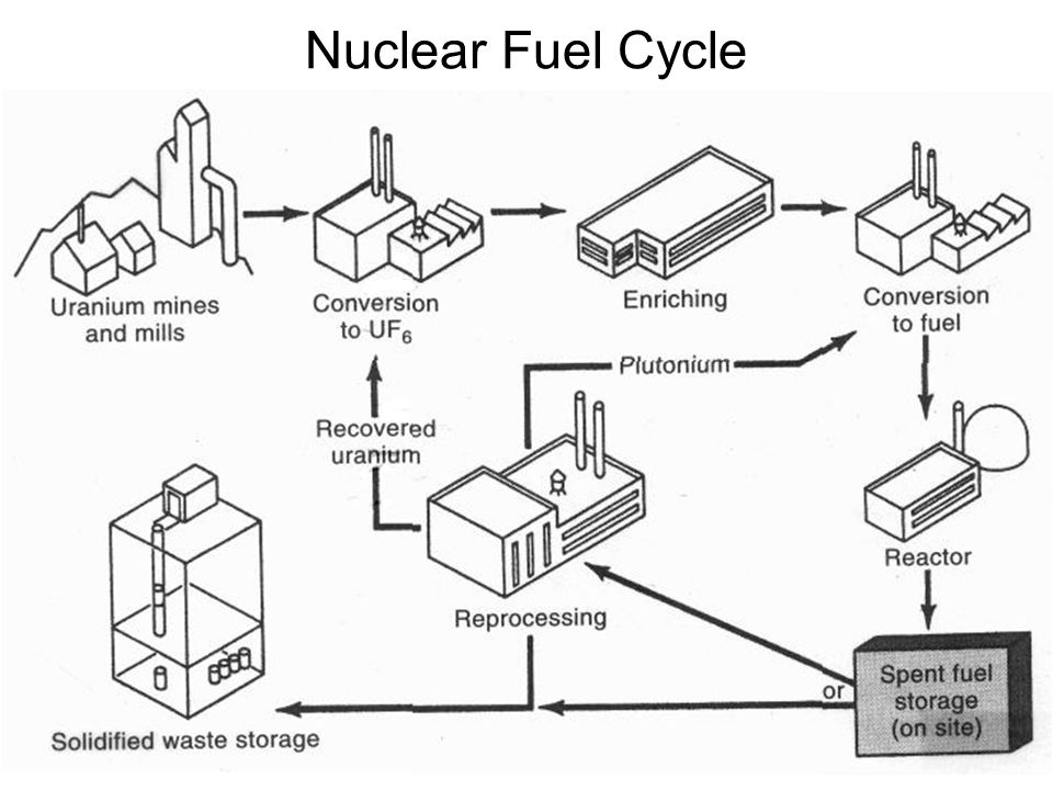 630 nuclear bug. Closed nuclear fuel Cycle. Reading 4-a the nuclear fuel Cycle. Reprocessed Uranium EDF.