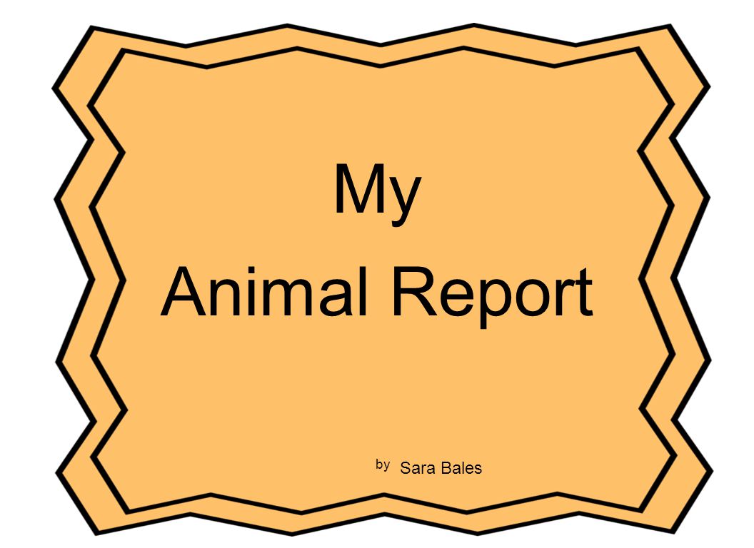 My Animal Report by Sara Bales