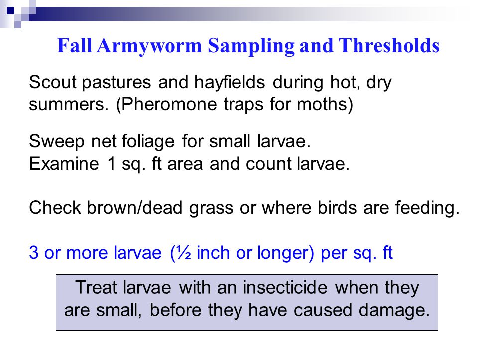 Fall Armyworm Sampling and Thresholds Scout pastures and hayfields during hot, dry summers.