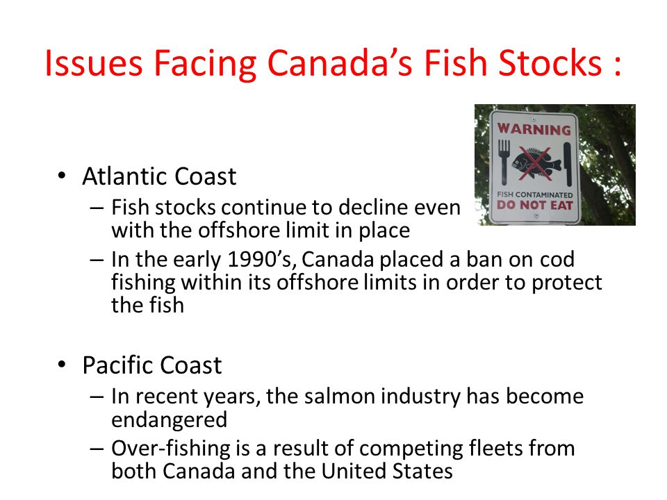 A Brief History of Fishing Back in 1497, when John Cabot arrived on the  Eastern Coast of North America there were a lot of fish! Since the 1400's,  Europeans. - ppt download