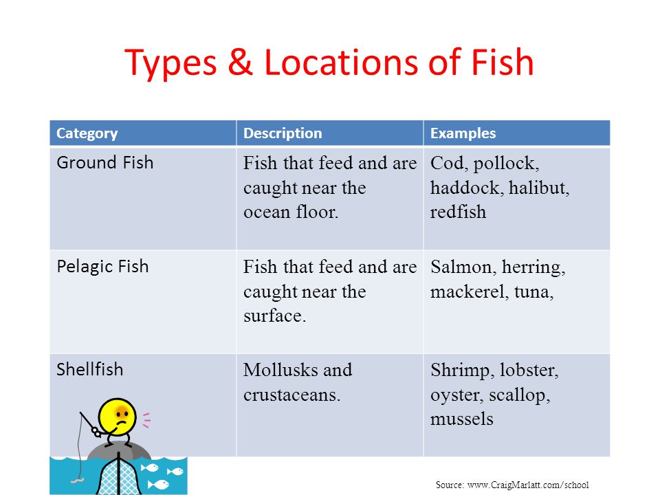 A Brief History of Fishing Back in 1497, when John Cabot arrived on the  Eastern Coast of North America there were a lot of fish! Since the 1400's,  Europeans. - ppt download