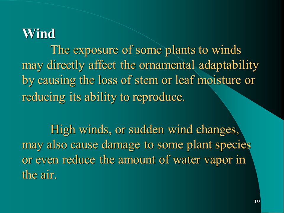 19 Wind The exposure of some plants to winds may directly affect the ornamental adaptability by causing the loss of stem or leaf moisture or reducing its ability to reproduce.