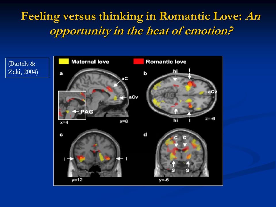 Feeling versus thinking in Romantic Love: An opportunity in the heat of emotion.