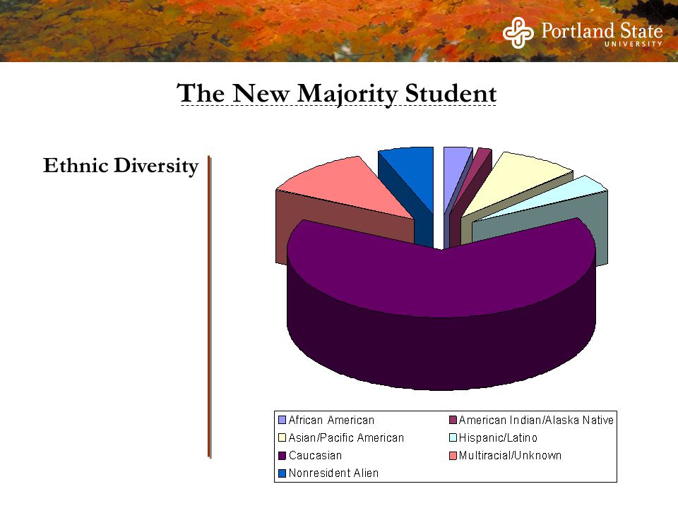Ethnic Diversity The New Majority Student