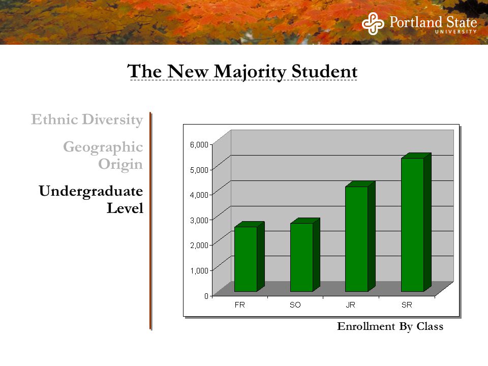 Enrollment By Class Ethnic Diversity Geographic Origin Undergraduate Level The New Majority Student
