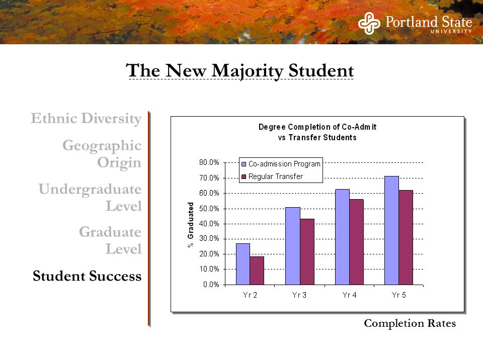Completion Rates Student Success Ethnic Diversity Geographic Origin Undergraduate Level Graduate Level The New Majority Student