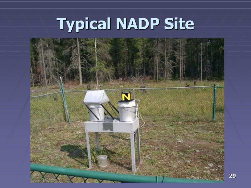 29 Typical NADP Site