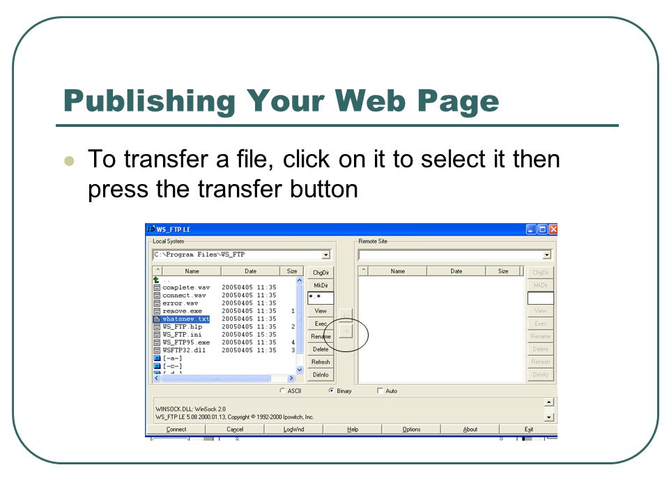 Publishing Your Web Page To transfer a file, click on it to select it then press the transfer button