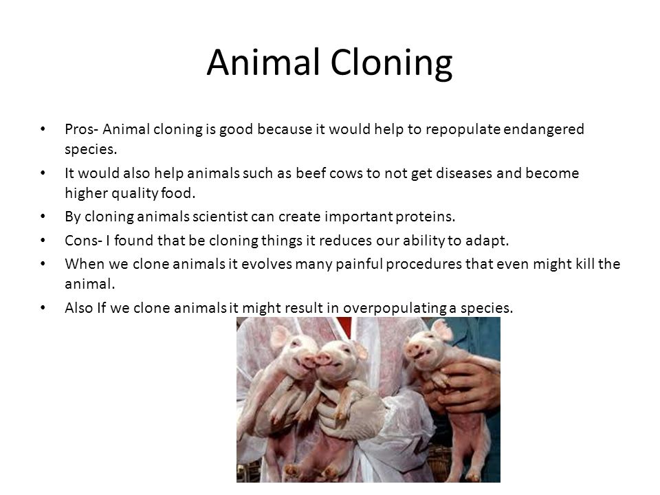 pros and cons for cloning animals