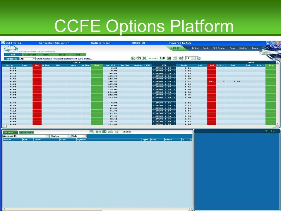 Chicago Climate Exchange ®, Inc. © 2008 CCFE Options Platform
