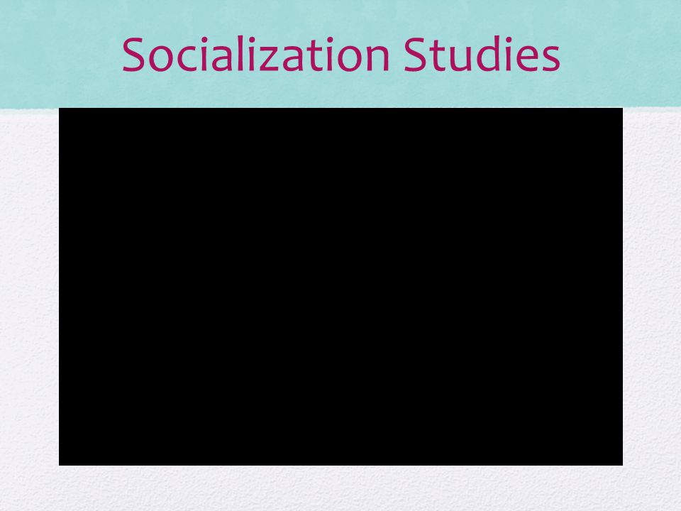 Socialization Studies