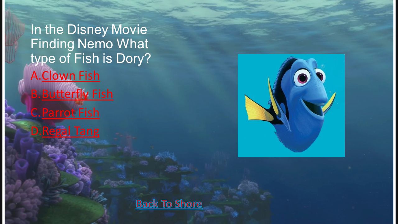 In the Disney Movie Finding Nemo What type of Fish is Dory.
