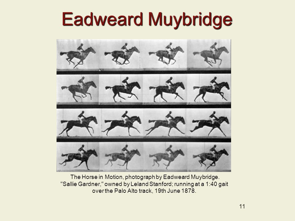 Eadweard Muybridge 11 The Horse in Motion, photograph by Eadweard Muybridge.