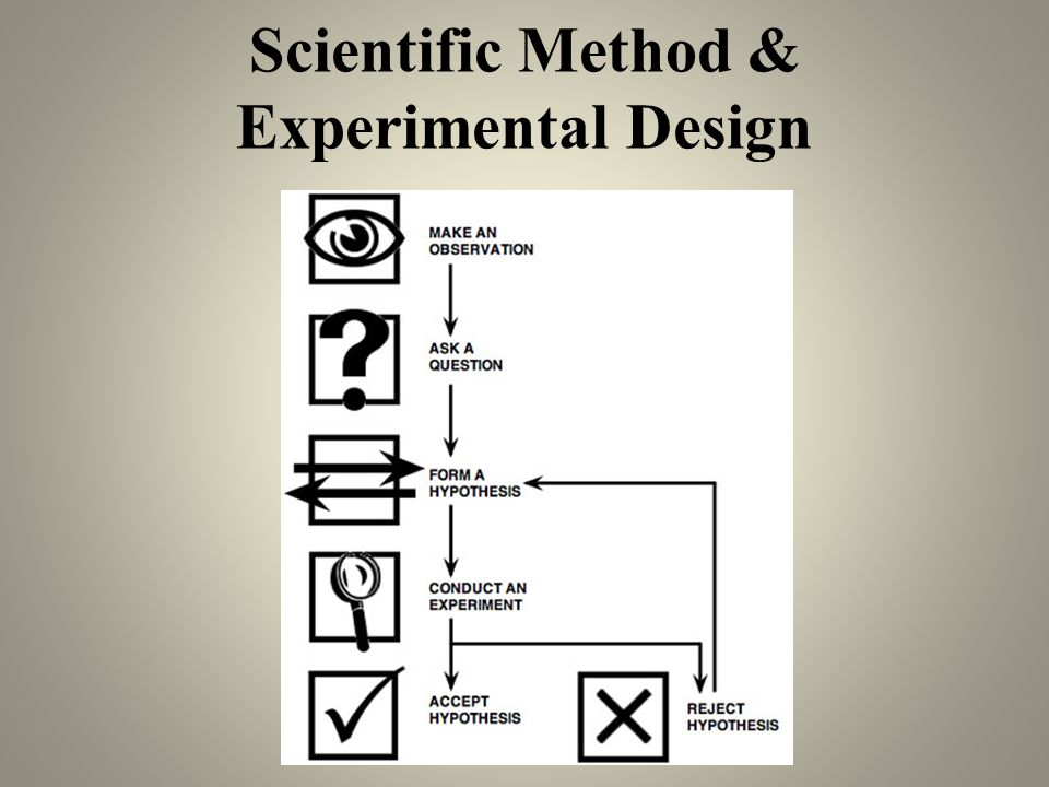 Scientific Method & Experimental Design